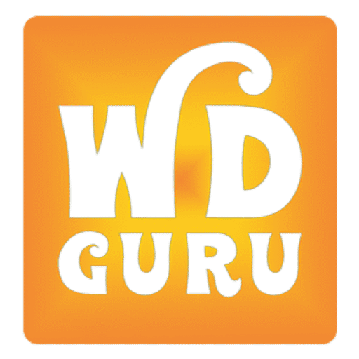 Website Development Guru