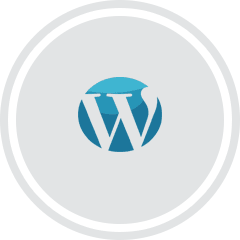 hire wordpress website developer
