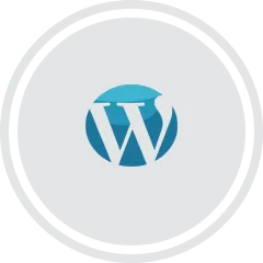 hire wordpress website developer